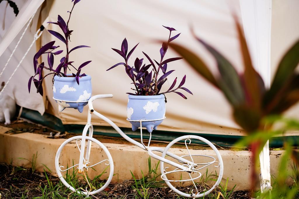 Harmony Glamping Boutique Hotel And Yoga Tulum Ruang foto